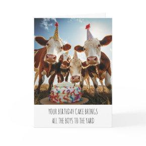 Cow  Cake Brings All The Boys To The Yard